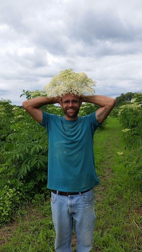 Grower-with-Elderflower